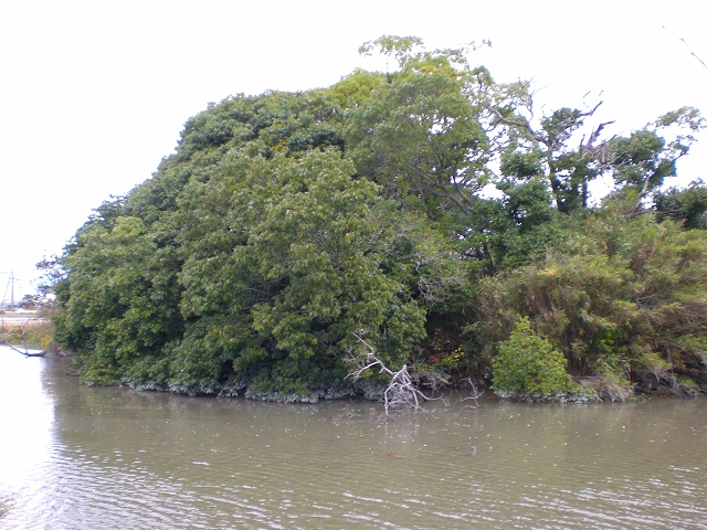 平重盛と経の島
