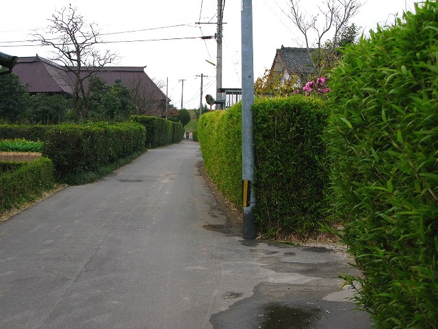 鍋島の竹垣