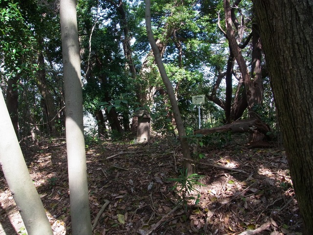 千葉胤正（胤誠）の墓